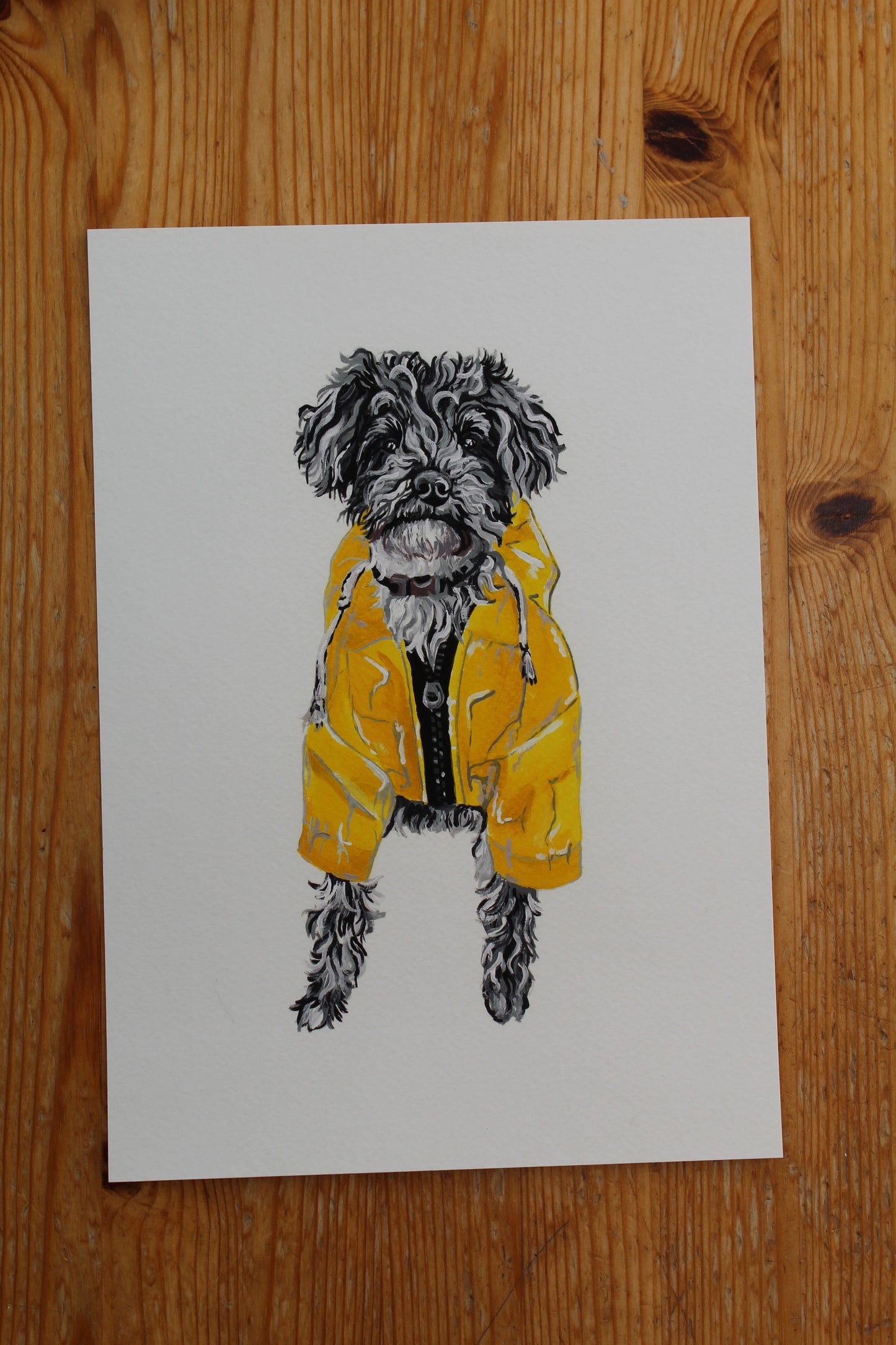 Jackapoo giclée print