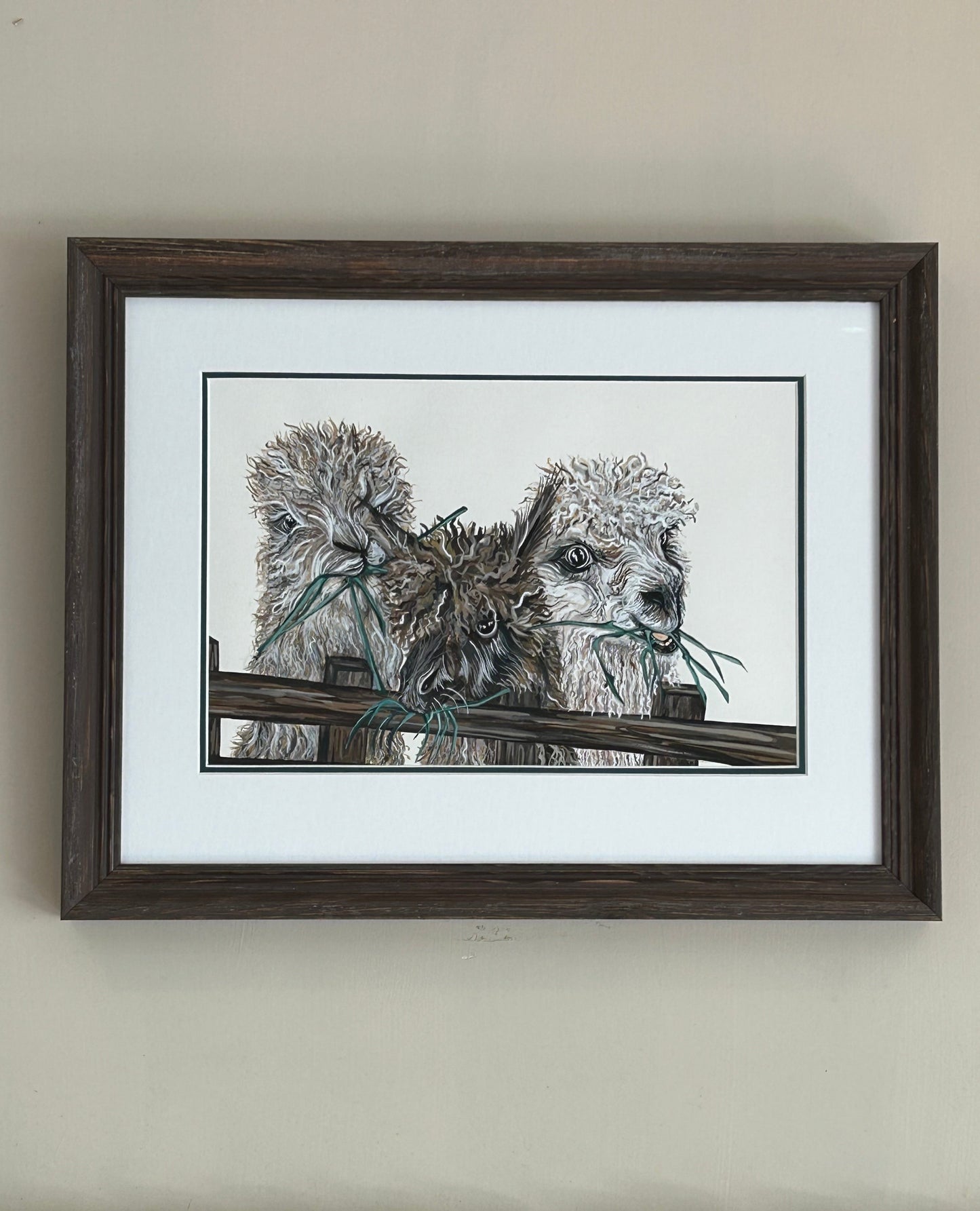 Alpaca Giclée Print