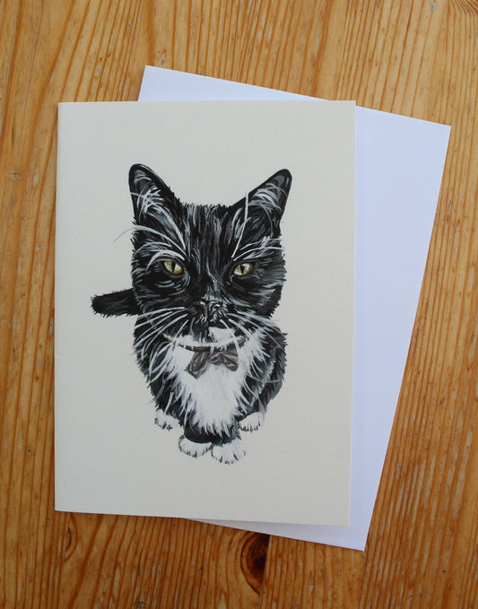 Tuxedo Cat Greetings Card