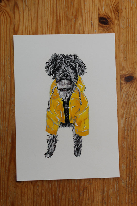 Jackapoo giclée print
