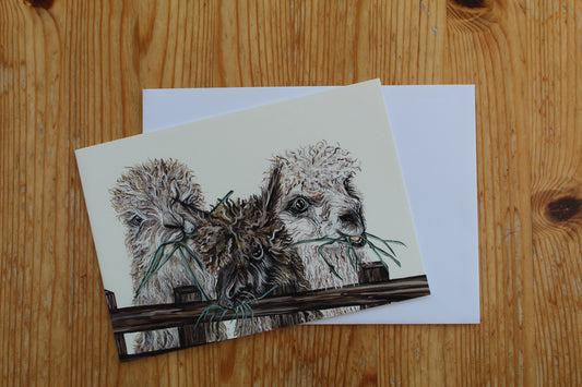 Alpaca Greeting Card