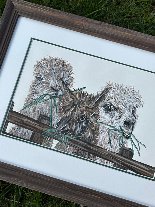 Alpaca Original Gouache Painting