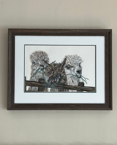 Alpaca Original Gouache Painting