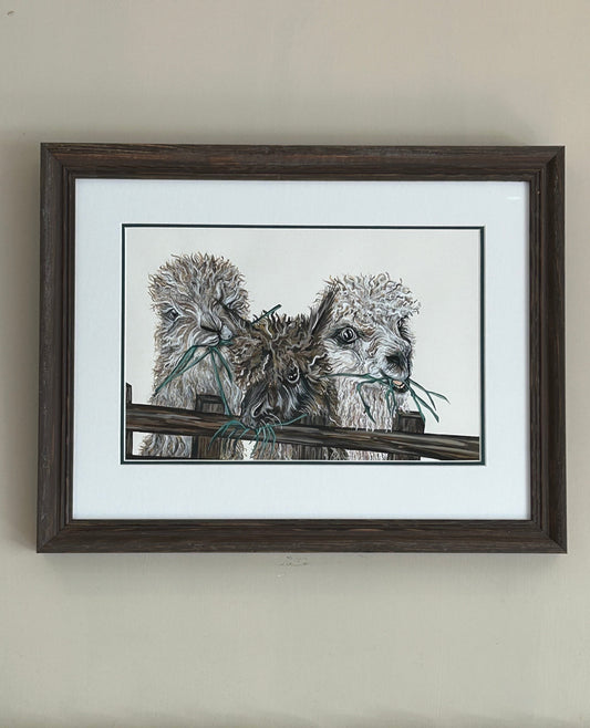 Alpaca Original Gouache Painting