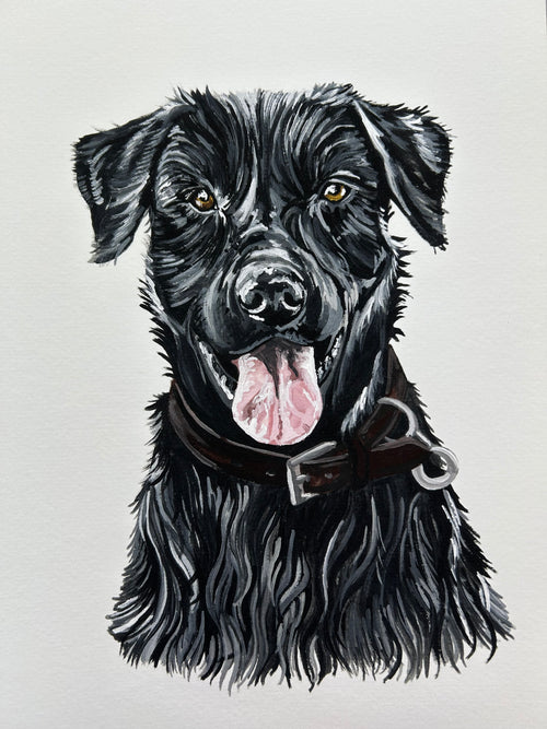 Black Labrador Giclée Print