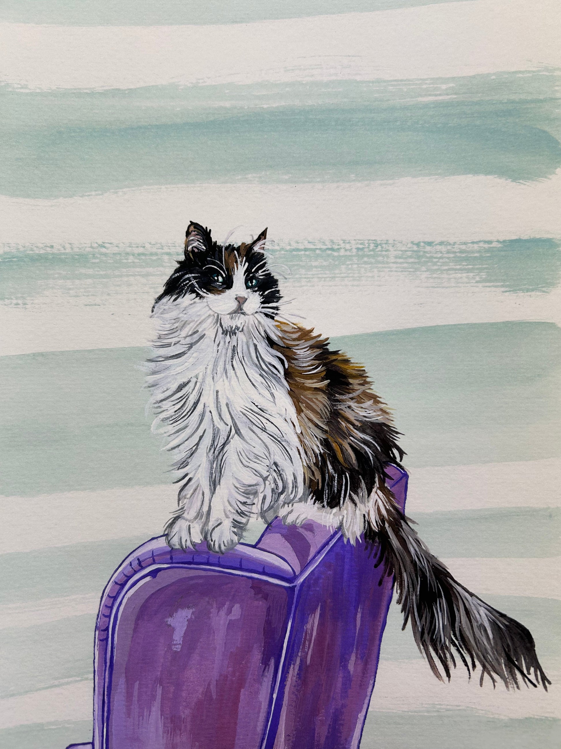 Maine Coon Giclée Print