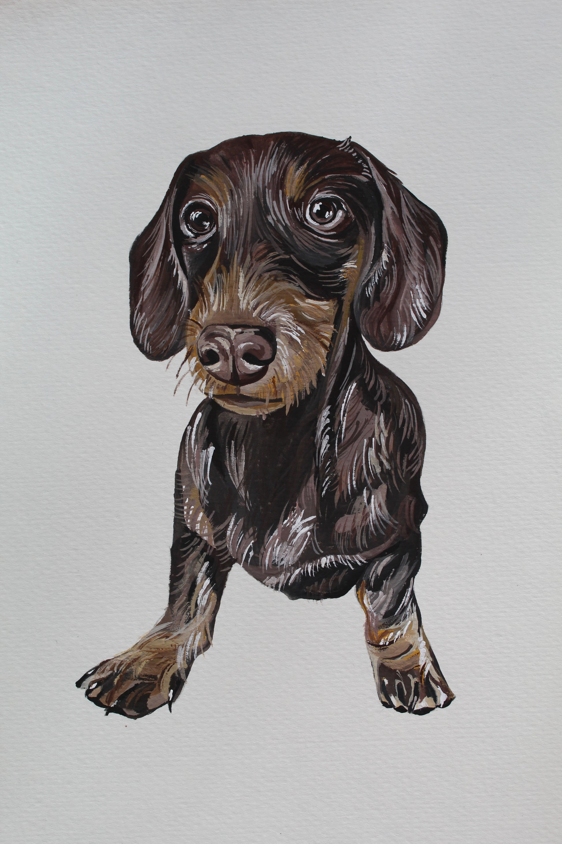 Dachshund Giclée Print